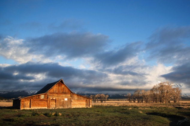 Golden Hour at Mormon Barn
Mormon Row, Yellowstone